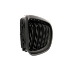 2 Grilles de Radiateur Pour BMW Série 3 E92 E93 51137157275