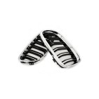 2 Grilles de Radiateur Pour BMW Série 3 E92 E93 51137157275