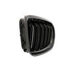 2 Grilles de Radiateur Pour BMW Série 3 E92 E93 51137157275