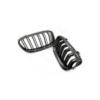 2 Grilles de Radiateur Pour BMW Série 3 E92 E93 51137157275