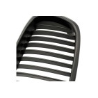 2 Grilles de Radiateur Pour BMW Série 5 E39 51132497261 51138184531