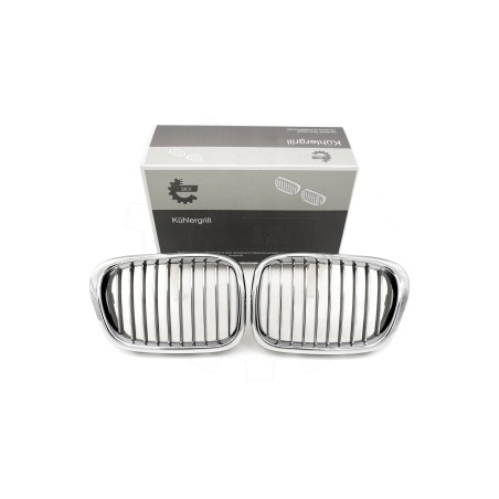 2 Grilles de Radiateur Pour BMW Série 5 E39 51132497261 51138184531