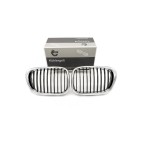 2 Grilles de Radiateur Pour BMW Série 5 E39 51132497261 51138184531