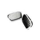 2 Grilles de Radiateur Pour BMW Série 5 E39 51132497261 51138184531