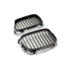 2 Grilles de Radiateur Pour BMW Série 5 E39 51132497261 51138184531