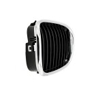 2 Grilles de Radiateur Pour BMW Série 5 E39 51132497261 51138184531