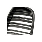 2 Grilles de Radiateur Pour BMW Série 5 E39 51132497261 51138184531