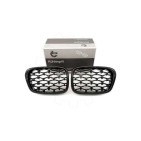 2 Grilles de Radiateur Pour BMW Série 5 E39 51132497261 51138184531