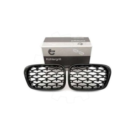 2 Grilles de Radiateur Pour BMW Série 5 E39 51132497261 51138184531