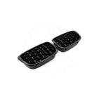 2 Grilles de Radiateur Pour BMW Série 5 E39 51132497261 51138184531