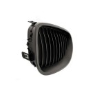 2 Grilles de Radiateur Pour BMW Série 5 E60 E61 51137027061 51137027062
