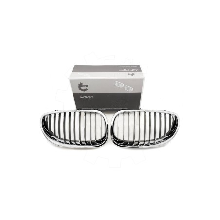 2 Grilles de Radiateur Pour BMW Série 5 E60 E61 51137027061 51137027062