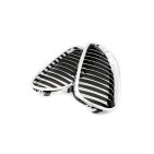 2 Grilles de Radiateur Pour BMW Série 5 E60 E61 51137027061 51137027062