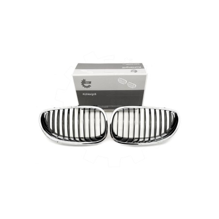 2 Grilles de Radiateur Pour BMW Série 5 E60 E61 51137027061 51137027062