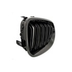 2 Grilles de Radiateur Pour BMW Série 5 E60 E61 51137027061 51137027062