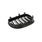 2 Grilles de Radiateur Pour BMW Série 5 E60 E61 51137027061 51137027062