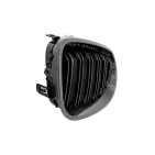 2 Grilles de Radiateur Pour BMW Série 5 E60 E61 51137027061 51137027062
