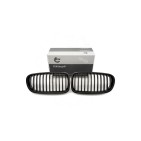 2 Grilles de Radiateur Pour BMW Série 5 F10 F11 51137261356