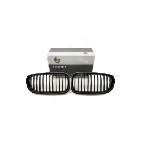 2 Grilles de Radiateur Pour BMW Série 5 F10 F11 51137261356