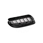 2 Grilles de Radiateur Pour BMW Série 6 F06 F12 F13 51712297592