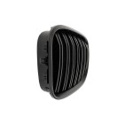 2 Grilles de Radiateur Pour BMW Série 7 F01, F02, F03, F04 51137203197