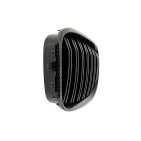 2 Grilles de Radiateur Pour BMW Série 7 F01, F02, F03, F04 51137203197