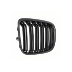 2 Grilles de Radiateur Pour BMW X1 E84 51112993305 51112993306 51112993307