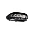 2 Grilles de Radiateur Pour BMW X1 F48 51117383364