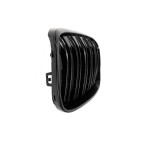 2 Grilles de Radiateur Pour BMW X1 F48 51117383364