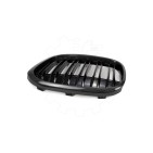 2 Grilles de Radiateur Pour BMW X1 F48 51117383364
