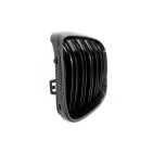 2 Grilles de Radiateur Pour BMW X1 F48 51117383364