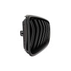 2 Grilles de Radiateur Pour BMW X3 F25 X4 F26 51712337762 51712337763