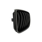 2 Grilles de Radiateur Pour BMW X3 F25 X4 F26 51117338571 51117338572