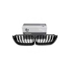 2 Grilles de Radiateur Pour BMW X3 F25 X4 F26 51117338571 51117338572