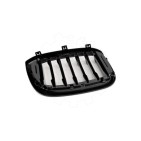 2 Grilles de Radiateur Pour BMW X3 F97, G01, G08 G01 X4 F98, G02 51138091725