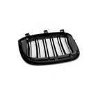 2 Grilles de Radiateur Pour BMW X3 F97, G01, G08 G01 X4 F98, G02 51138091725