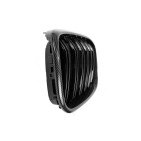 2 Grilles de Radiateur Pour BMW X3 F97, G01, G08 G01 X4 F98, G02 51138091725