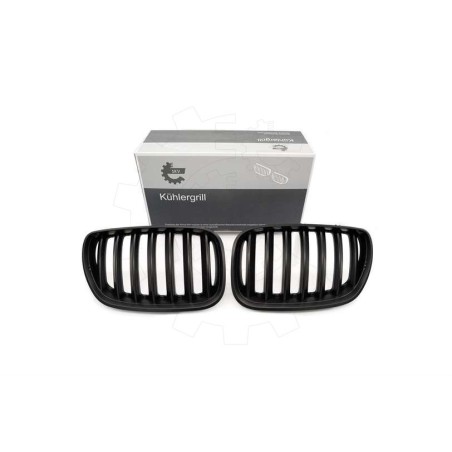 2 Grilles de Radiateur Pour BMW X5 E53 51137124815 51138250051