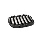 2 Grilles de Radiateur Pour BMW X5 E53 51137124815 51138250051