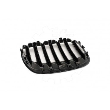 2 Grilles de Radiateur Pour BMW X5 E53 51137124815 51138250051