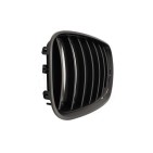 2 Grilles de Radiateur Pour BMW X5 E53 51137124815 51138250051