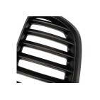 2 Grilles de Radiateur Pour BMW X5 E53 51137124815 51138250051