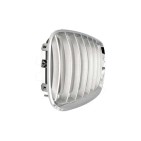 2 Grilles de Radiateur Pour BMW X5 E53 51137124815 51138250051