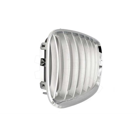2 Grilles de Radiateur Pour BMW X5 E53 51137124815 51138250051