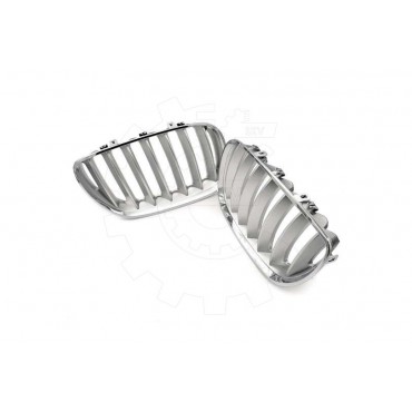 2 Grilles de Radiateur Pour BMW X5 E53 51137124815 51138250051