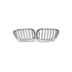 2 Grilles de Radiateur Pour BMW X5 E53 51137124815 51138250051