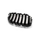 2 Grilles de Radiateur Pour BMW X5 E53 51137124815 51138250051
