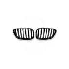 2 Grilles de Radiateur Pour BMW X5 E53 51137124815 51138250051