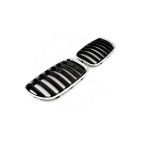 2 Grilles de Radiateur Pour BMW X5 E53 51137124815 51138250051