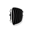 2 Grilles de Radiateur Pour BMW X5 E53 51137124815 51138250051